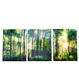 3-Panel Forest Sunbeams Canvas Wall Art Set 12x16" Nature Landscape Decor EUC